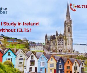 Can I Get PR in Ireland After Study?