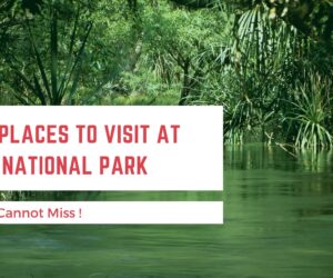 Top 10 Places to Visit at Kanha National Park That You Cannot Miss