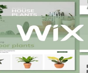 How Wix Website Development Company in India Are Empowering Digital Dreams