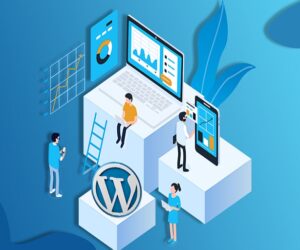 Top Reasons to Hire a WordPress Web Development Company in India
