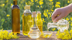 canola oil