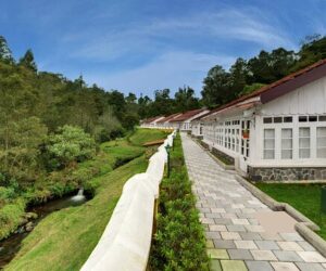 Explore the Best Kodaikanal Tour Package from Bangalore