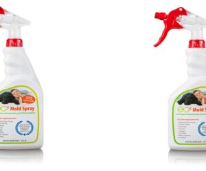 The Dangers of Mold and How EC3 Mold Spray Can Help