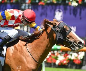 Discover GoldenRush Australia: A Premier Betting Experience for Aussie Punters