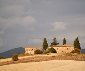 Puglia Private Tour