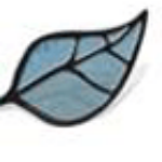Profile picture of WESLEY VINE GLASS