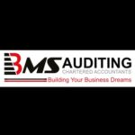 Profile picture of BMS Auditing